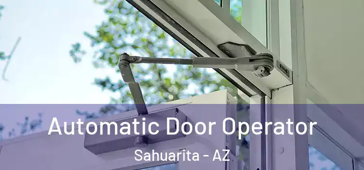 Automatic Door Operator Sahuarita - AZ