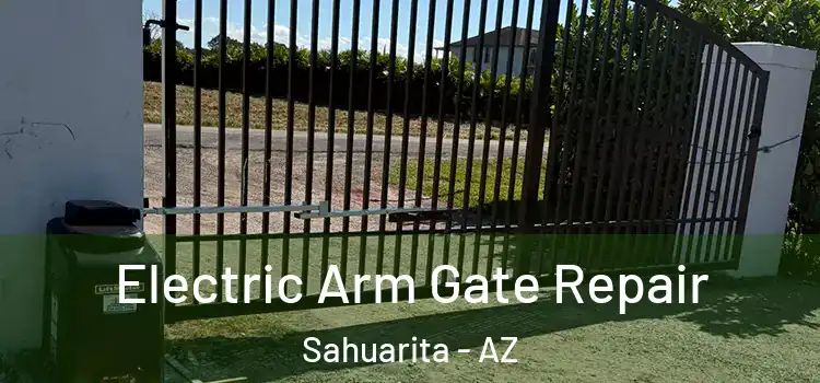 Electric Arm Gate Repair Sahuarita - AZ